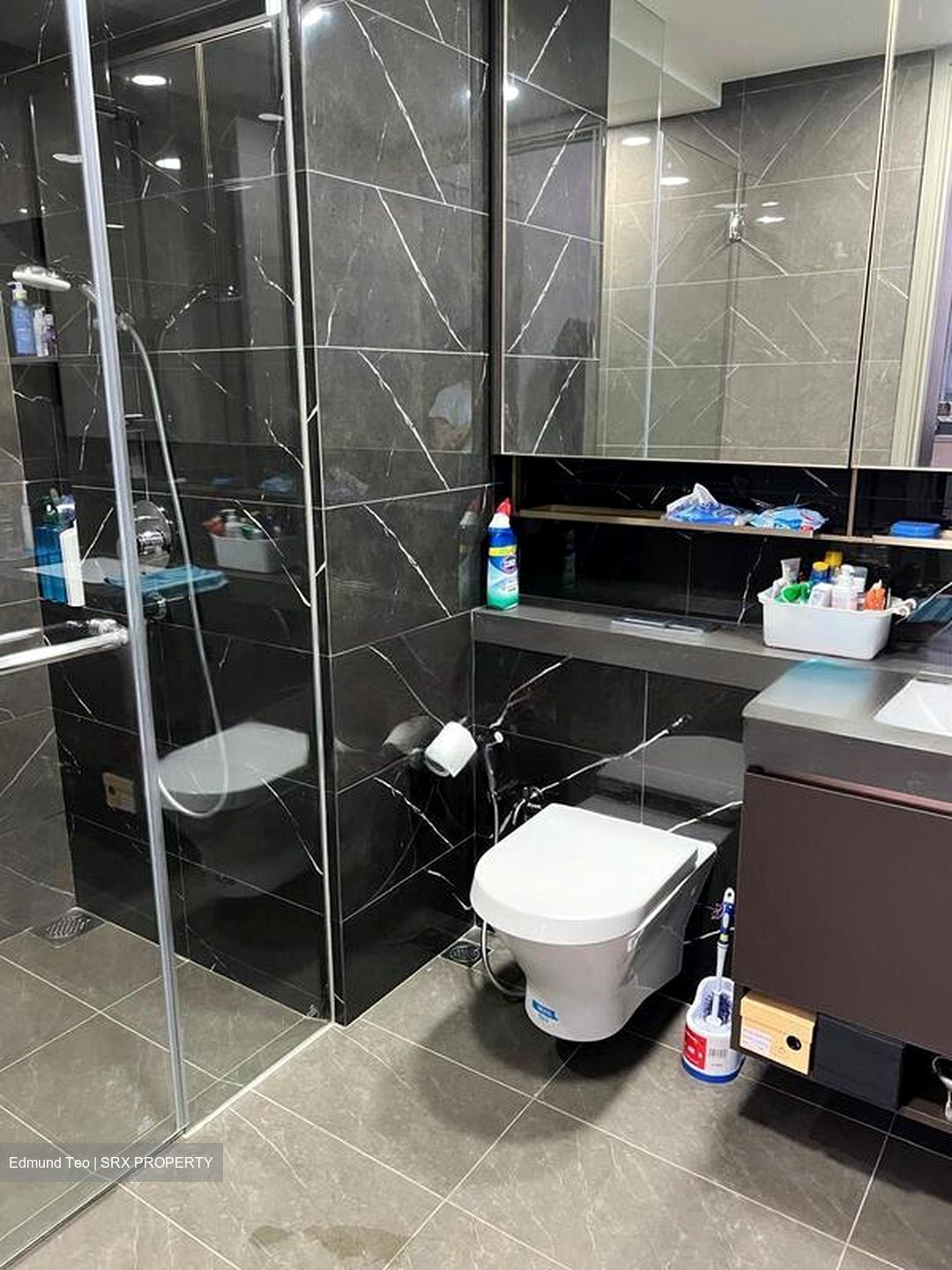 The Florence Residences (D19), Apartment #496379451